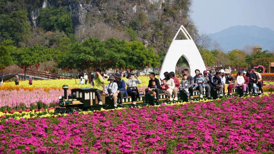 深山秘境如何引爆全球热潮?清远入境游的破局之道 新闻