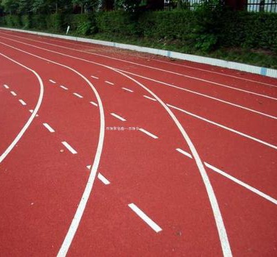  女子竞技领域的守门人：生理基准线的技术架构解读 IT技术