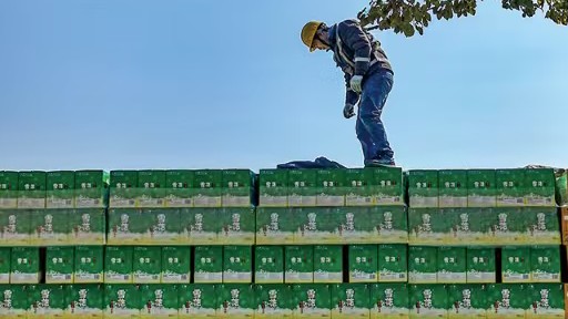  行业深度调研指南：如何从啤酒市场分化中洞察商业机会 企业服务