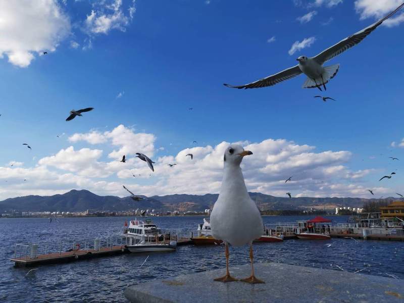 【升学规划】2026年本科扩招数据解析与名校新校区报考指南 教育招生