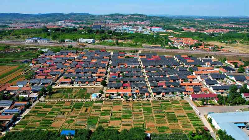  特变电工2025年财报深度解构：净利润增长43.69%背后的产业逻辑与战略重构 股票财经