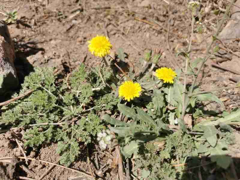 【制度剖析】公积金支付物业费：一场精心包装的「保障拆借」游戏