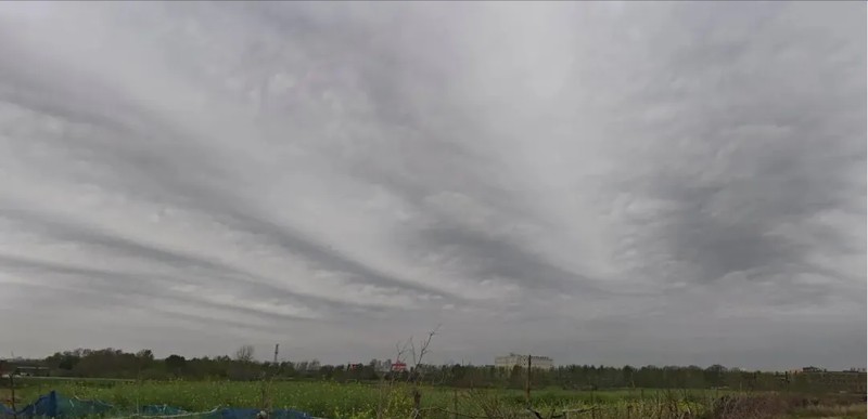  【气象技术深度拆解】西南急流异动与副高博弈：南方暴雨桑拿天气的形成机理与应对策略 新闻
