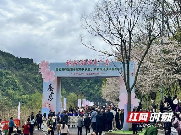  从涉江楼到县政府码头：「线上种草+线下体验」文旅模式深度拆解 文化旅游