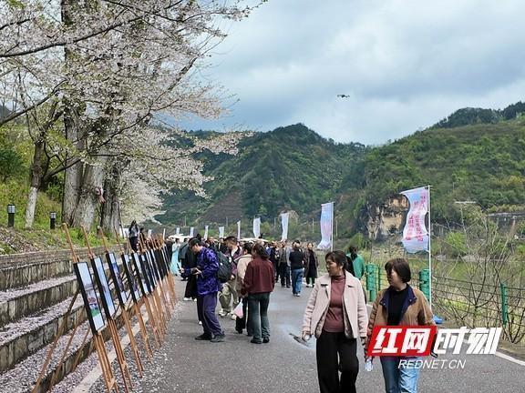 从涉江楼到县政府码头：「线上种草+线下体验」文旅模式深度拆解 文化旅游