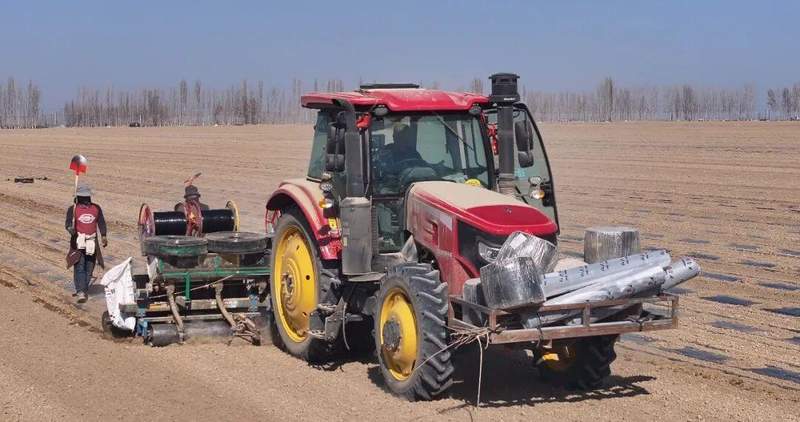  【深度复盘】订单农业如何破解农产品销售困局——以巩留县千亩甜叶菊基地为例 新闻