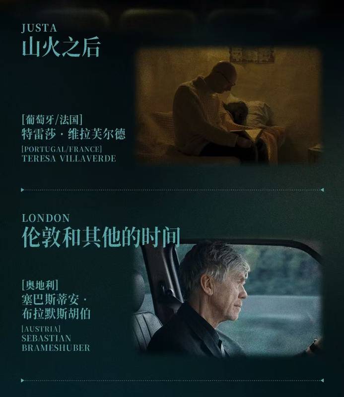  [深度解析] 天坛奖第二批片单：四部作品的叙事结构与主题矩阵 影视小说