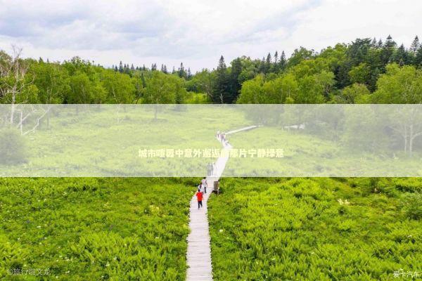 城市喧嚣中意外邂逅的那片宁静绿意