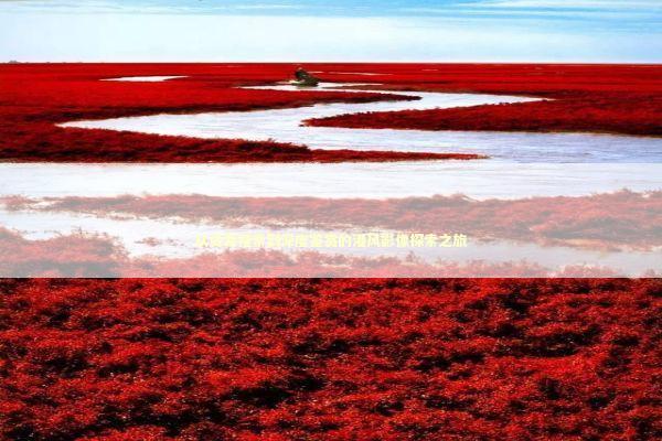 从资源搜索到深度鉴赏的港风影像探索之旅