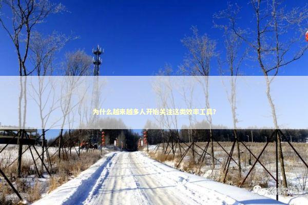 为什么越来越多人开始关注这类效率工具？ IT技术