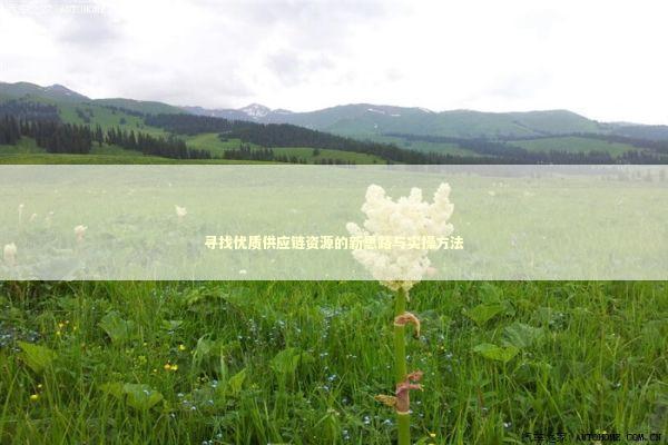 寻找优质供应链资源的新思路与实操方法 企业服务