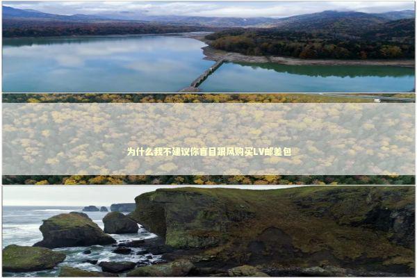 为什么我不建议你盲目跟风购买LV邮差包 时尚用品