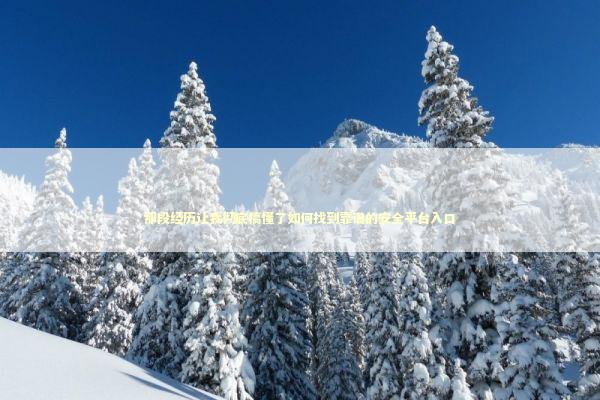 那段经历让我彻底搞懂了如何找到靠谱的安全平台入口 IT技术