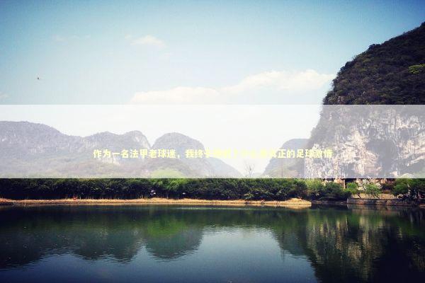 作为一名法甲老球迷，我终于理解了什么是真正的足球激情 体育新闻