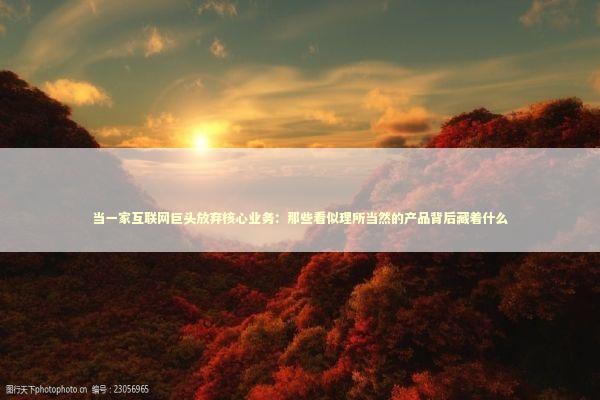 当一家互联网巨头放弃核心业务：那些看似理所当然的产品背后藏着什么 IT技术
