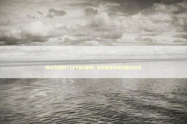 你以为找到了LOEWE官网？深扒那些年我们踩过的坑 时尚用品