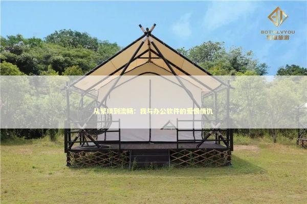 从繁琐到流畅：我与办公软件的爱恨情仇 IT技术