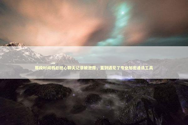 那段时间我总担心聊天记录被泄露，直到遇见了专业加密通讯工具 IT技术
