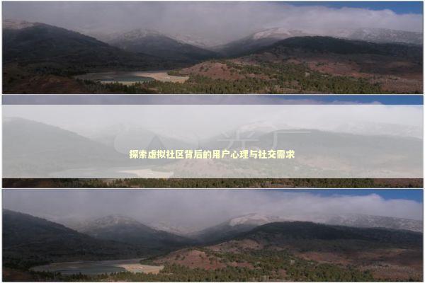 探索虚拟社区背后的用户心理与社交需求 IT技术